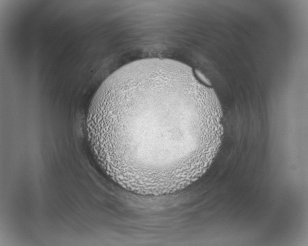 X0000063450038200602101700