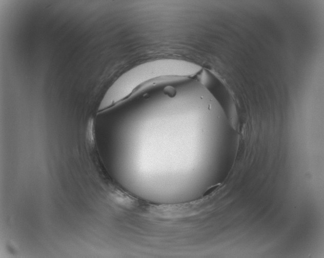 X0000063450041200602101700