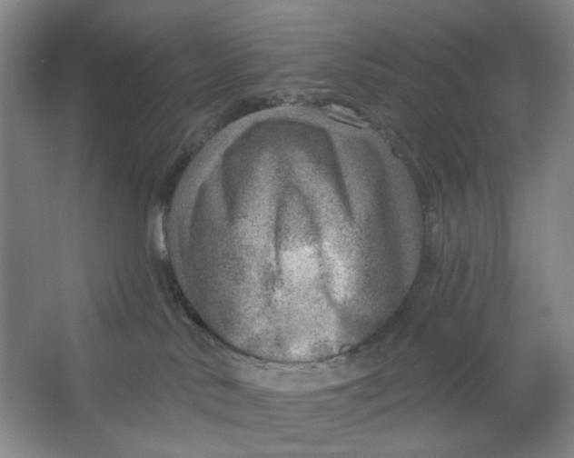 X0000063450042200602101700