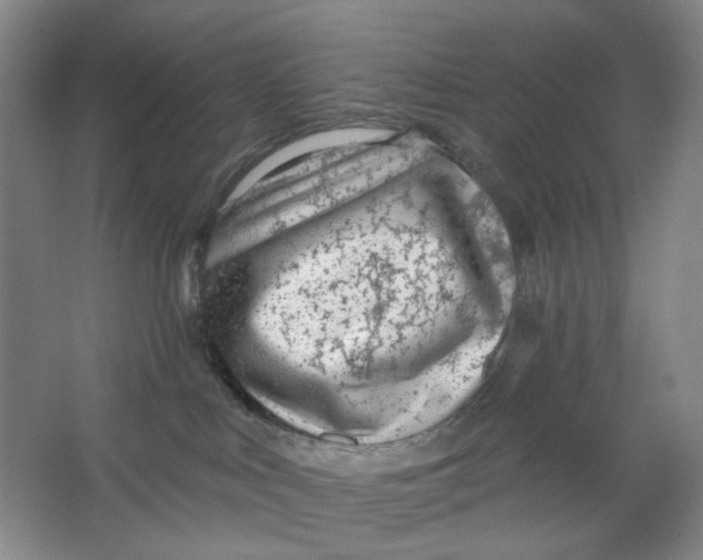 X0000063450043200602101700