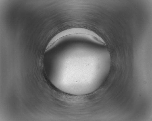 X0000063450044200602101700