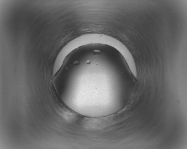 X0000063450045200602101700