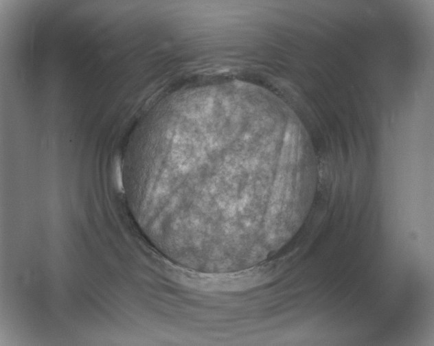 X0000063450046200602101700