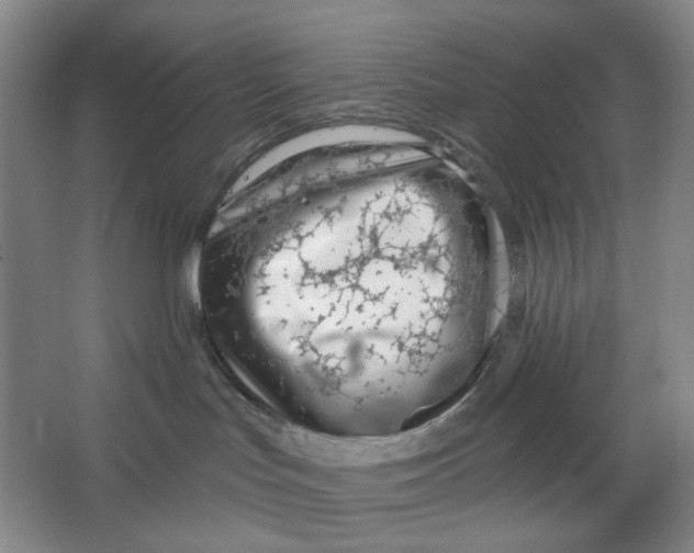 X0000063450047200602101700