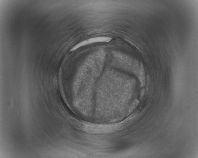 X0000063450048200602101700