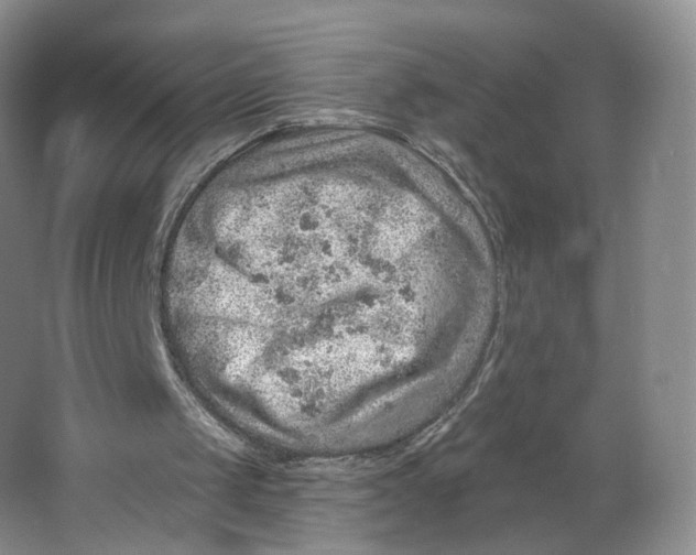 X0000063450049200602101659