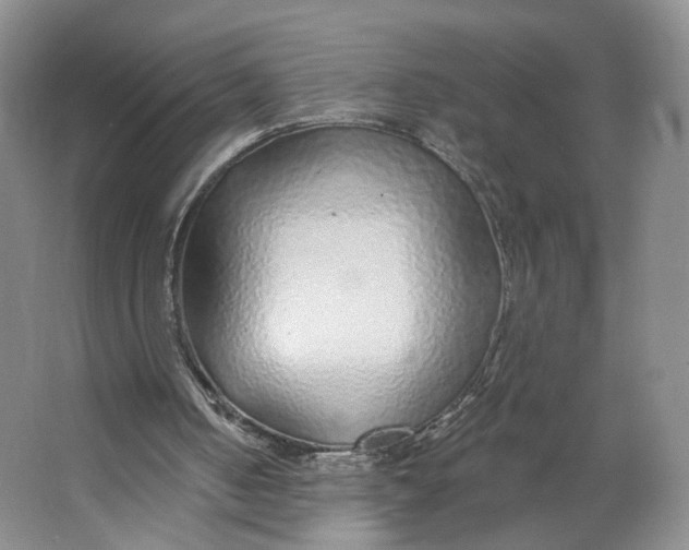 X0000063450050200602101659