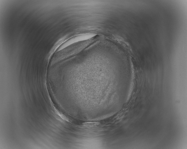 X0000063450051200602101659