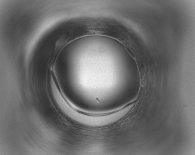 X0000063450052200602101659