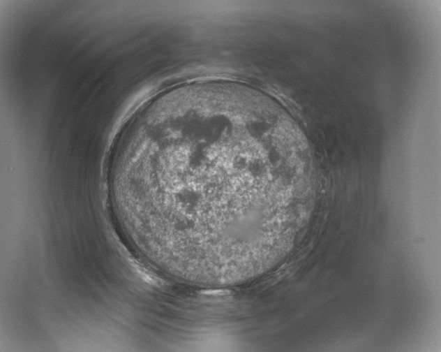 X0000063450053200602101659