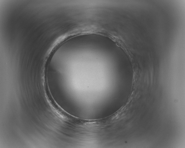 X0000063450054200602101659