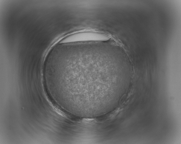 X0000063450055200602101659