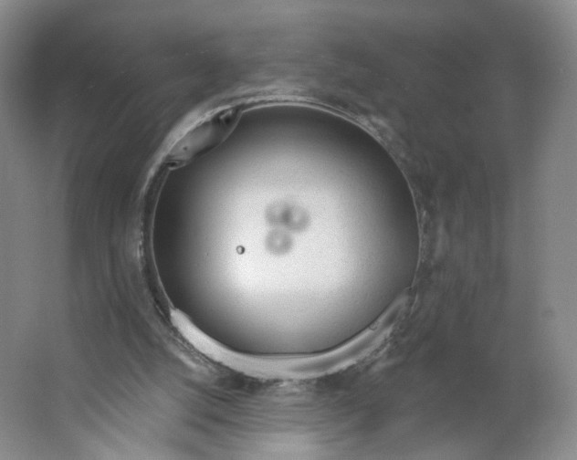 X0000063450056200602101659