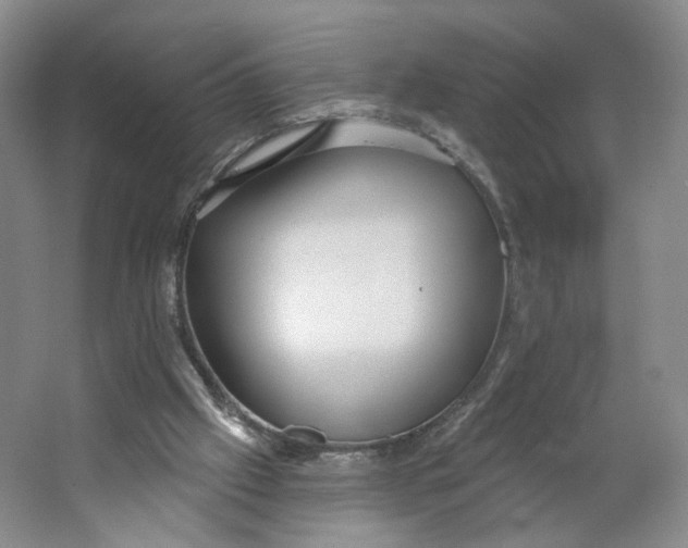 X0000063450057200602101659