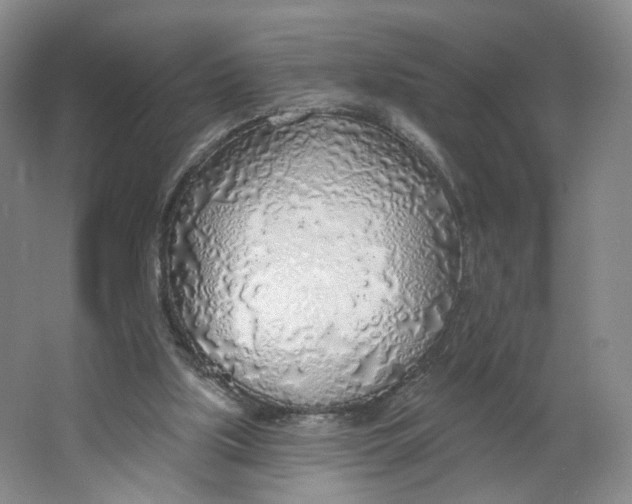 X0000063450059200602101659