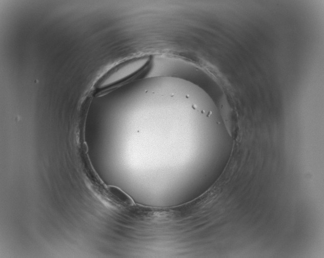 X0000063450060200602101659