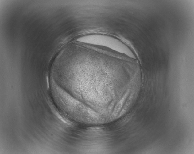 X0000063450061200602101659