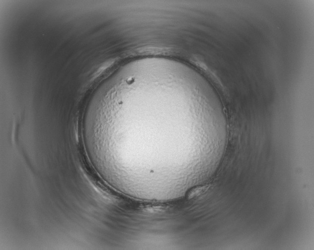 X0000063450062200602101659