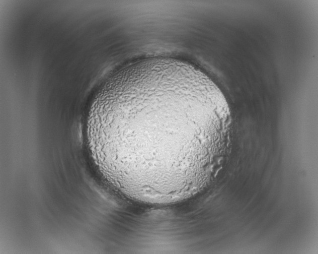 X0000063450067200602101659