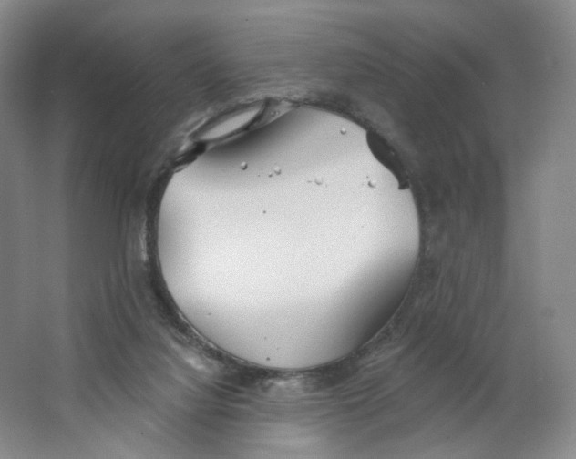 X0000063450068200602101659