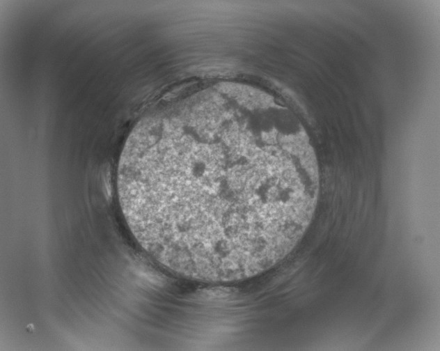 X0000063450069200602101659