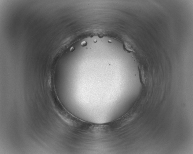 X0000063450072200602101659