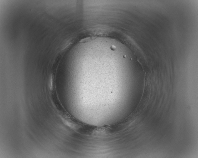 X0000063450076200602101659