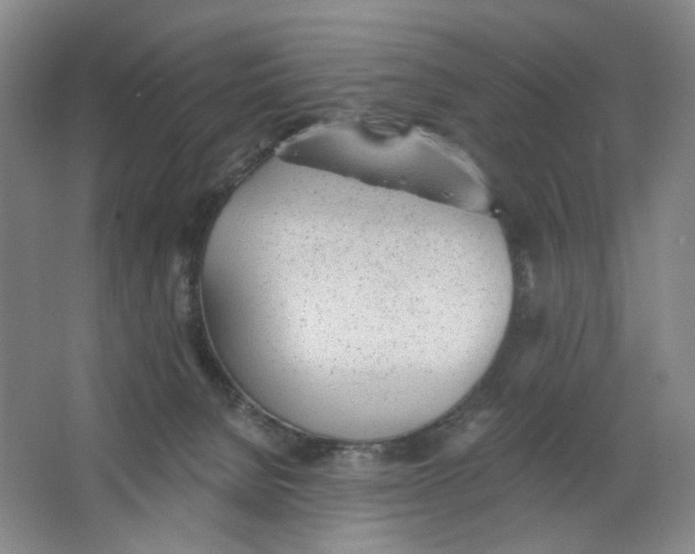 X0000063450080200602101659