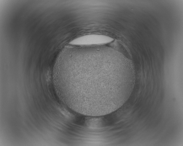 X0000063450081200602101659