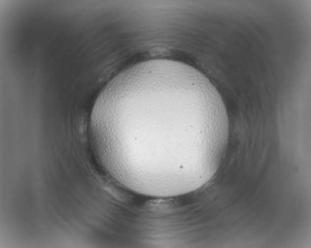 X0000063450082200602101659