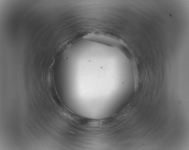 X0000063450084200602101659