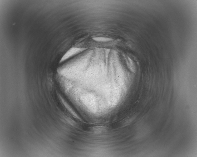 X0000063450085200602101659