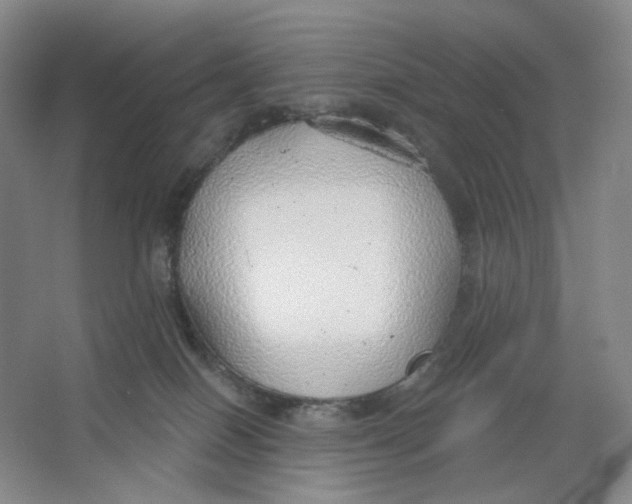 X0000063450086200602101659