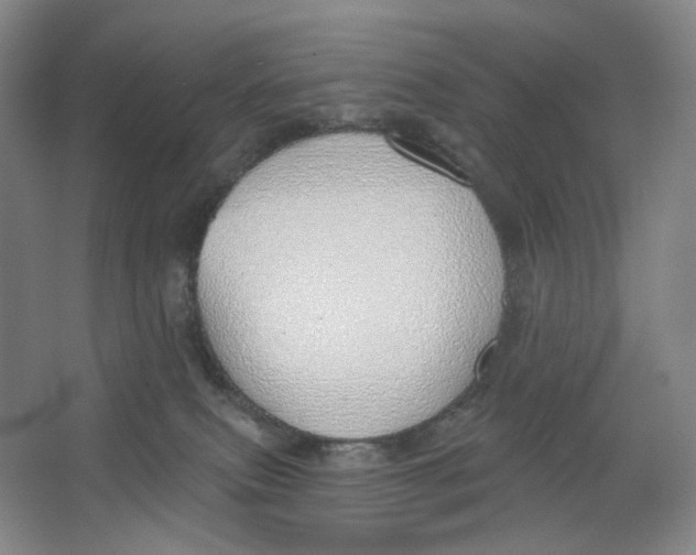 X0000063450087200602101659