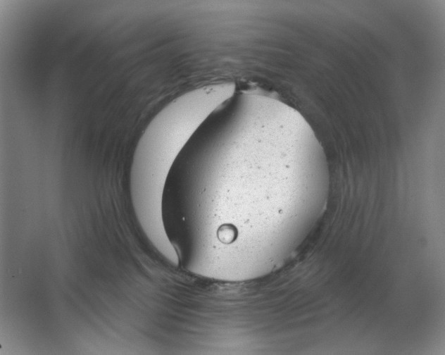 X0000063450088200602101659