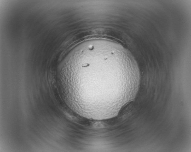 X0000063450091200602101659