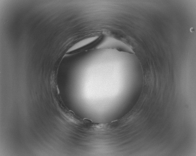 X0000063450092200602101659