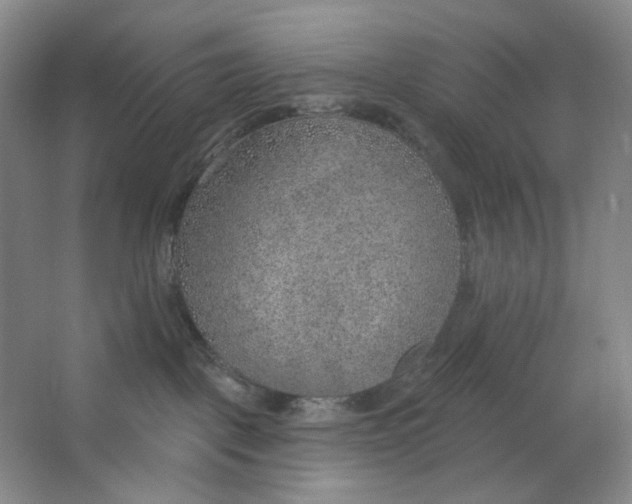 X0000063450093200602101659