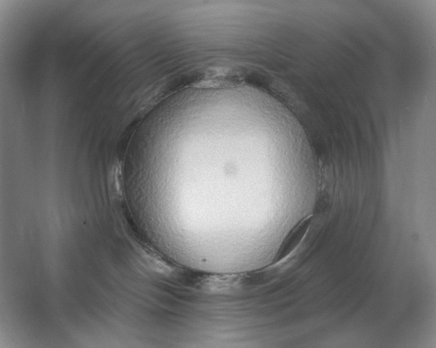 X0000063450094200602101659