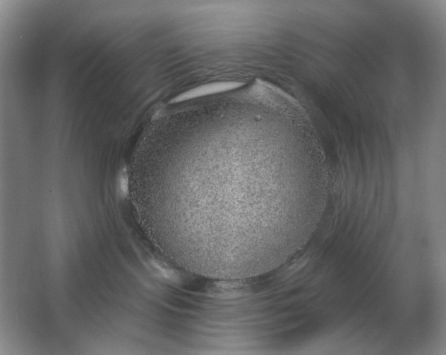 X0000063450095200602101659