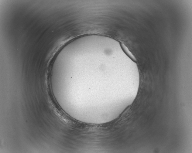 X0000063450098200602101659