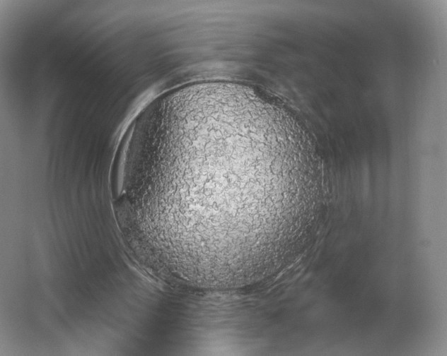 X0000063450099200602101659