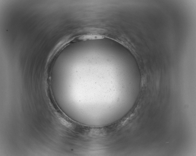 X0000063450101200602101659