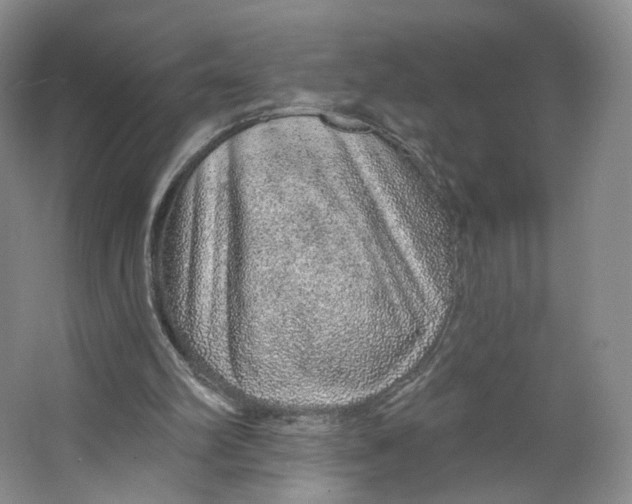 X0000063450102200602101659