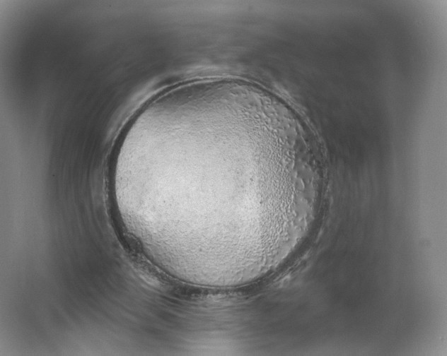 X0000063450103200602101659