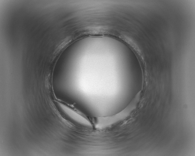 X0000063450105200602101659