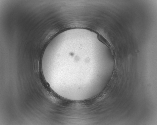 X0000063450109200602101658