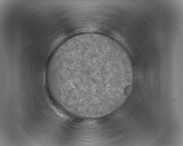 X0000063450110200602101658