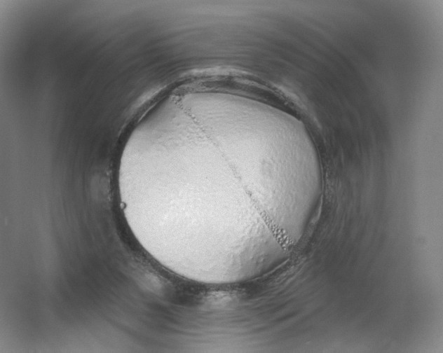 X0000063450111200602101658