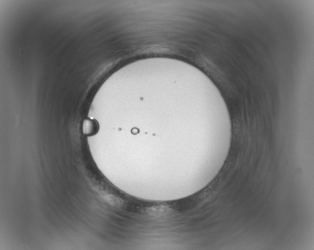 X0000063450112200602101658